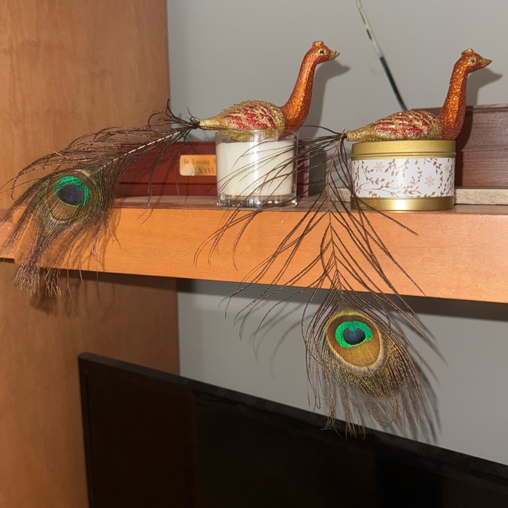Set of 2 Vintage Peacock Clip On Ornaments w/Long Feather Tails